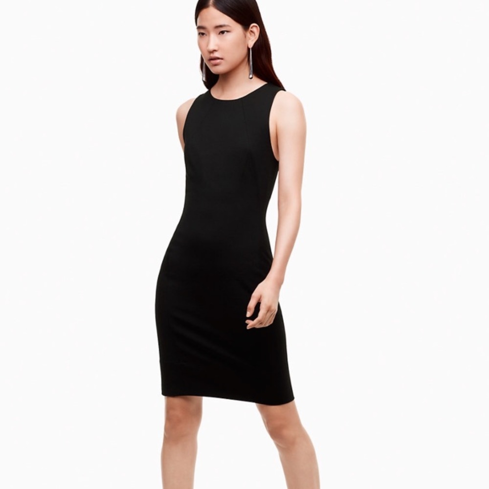 Aritzia Babaton Miguel Dress in Black